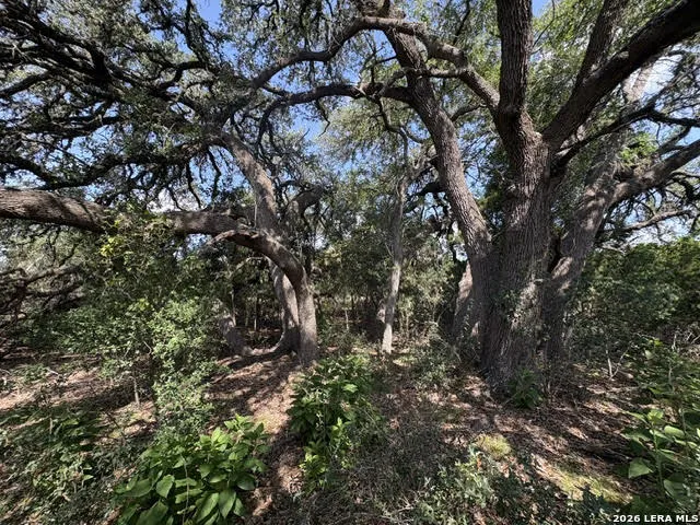 LOT 2025 Split Ridge Spring Branch, TX 78070