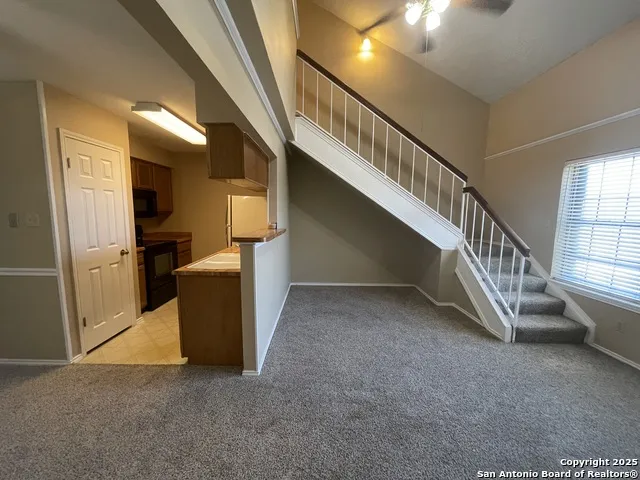 11610 Vance Jackson Unit 978 San Antonio, TX 78230