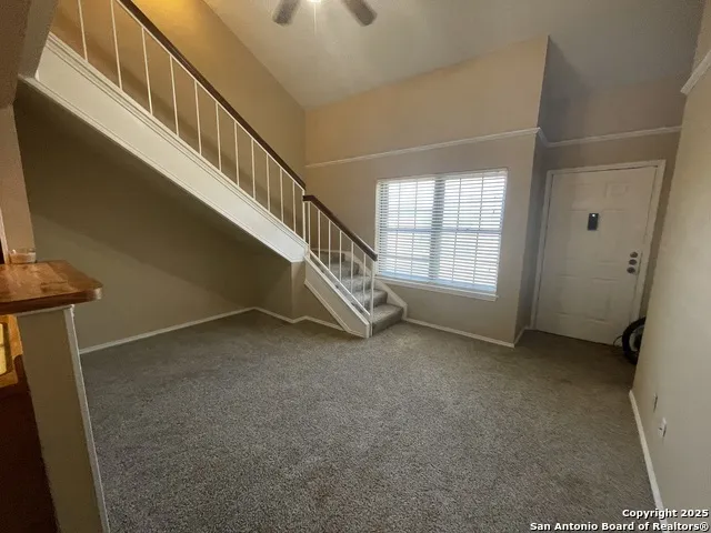 11610 Vance Jackson Unit 978 San Antonio, TX 78230