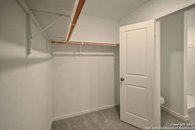 1517 Hummock Steep New Braunfels, TX 78130