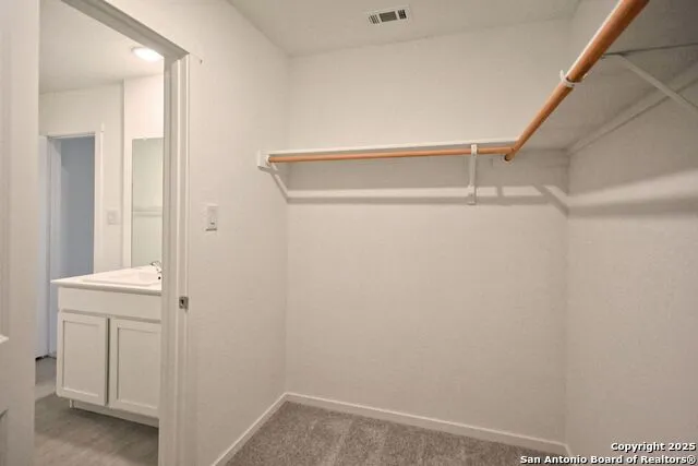 1517 Hummock Steep New Braunfels, TX 78130