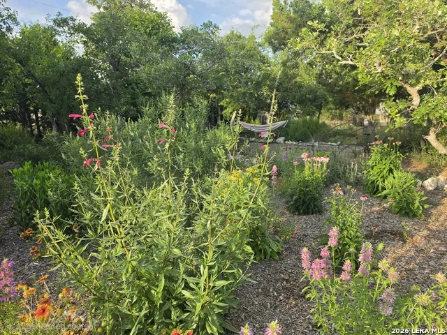 7991 Ranch Road 965 Fredericksburg, TX 78624