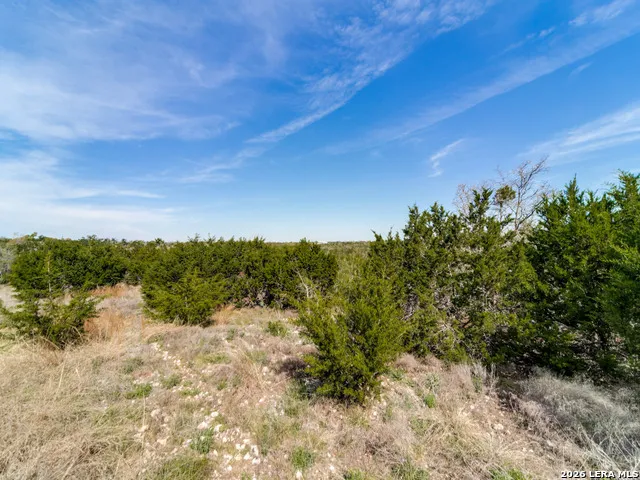 7991 Ranch Road 965 Fredericksburg, TX 78624