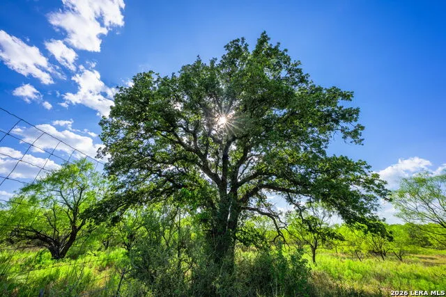 4163 E STATE HIGHWAY 29 Mason, TX 76856