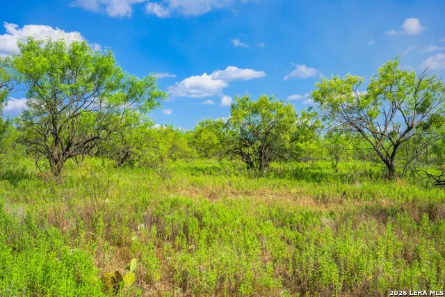 4163 E STATE HIGHWAY 29 Mason, TX 76856