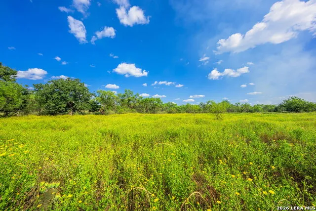 4163 E STATE HIGHWAY 29 Mason, TX 76856