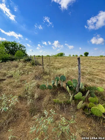 0 FM 1333 Poteet, TX 78065