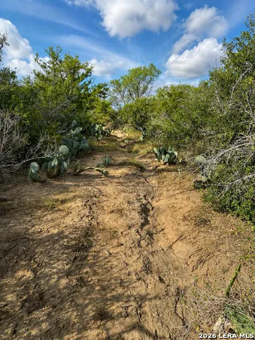 0 FM 1333 Poteet, TX 78065