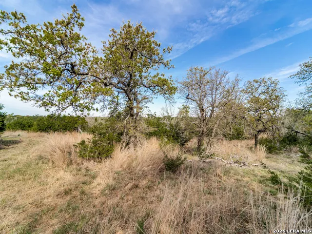 7991 Ranch Road 965 Fredericksburg, TX 78624