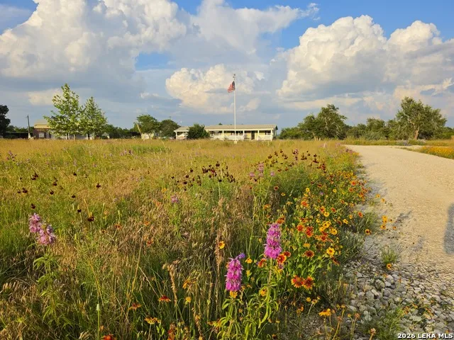 7991 Ranch Road 965 Fredericksburg, TX 78624
