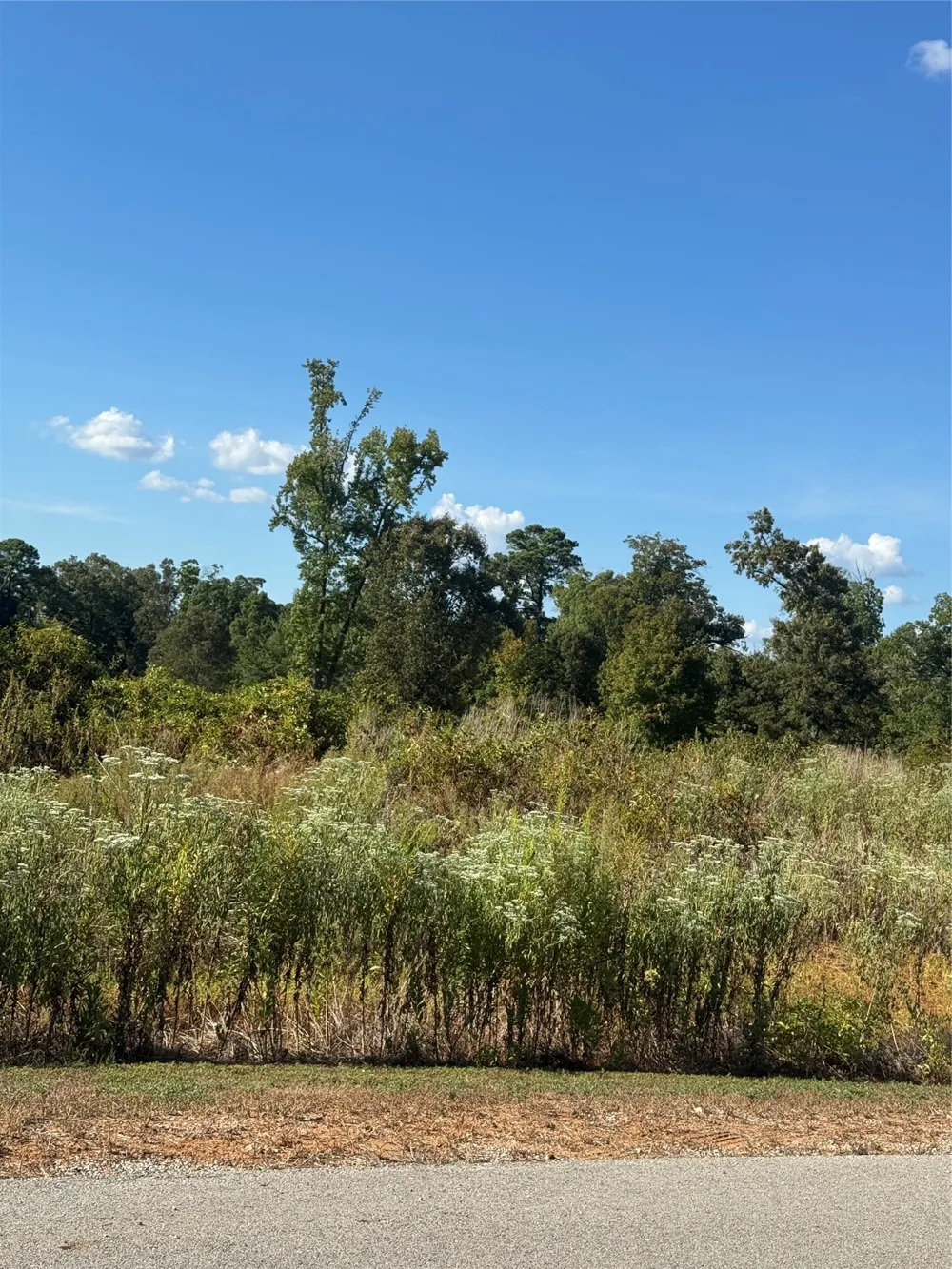 Ridgeline Loop Winona, TX 75792