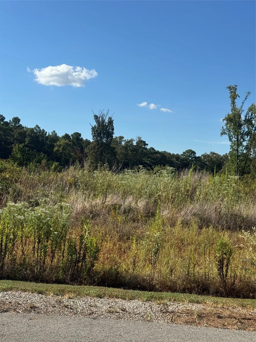 Ridgeline Loop Winona, TX 75792