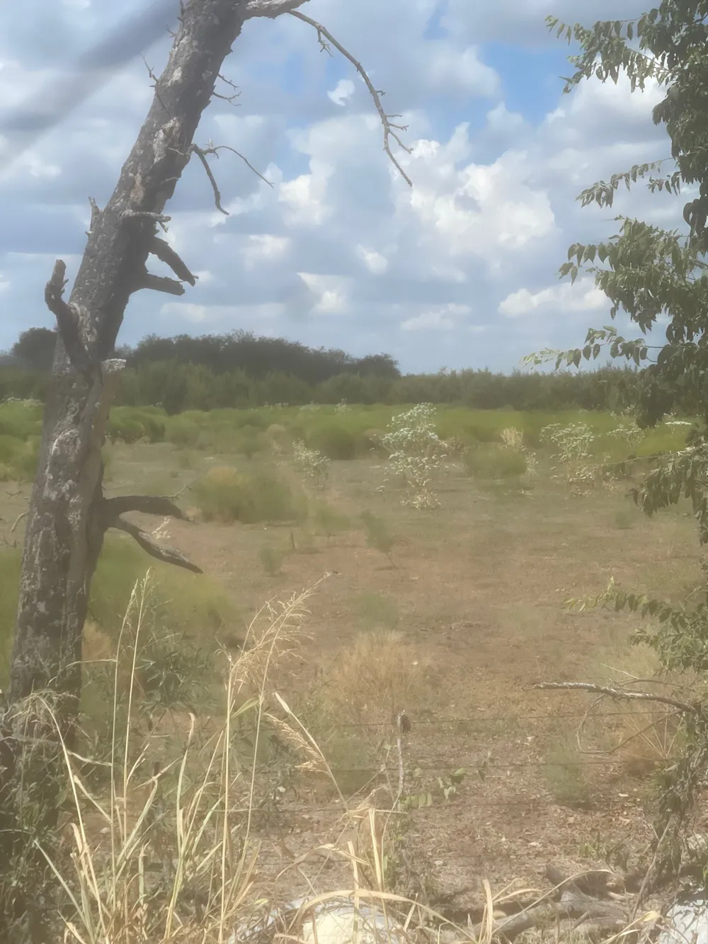 2473 CR 199B Iredell, TX 76649
