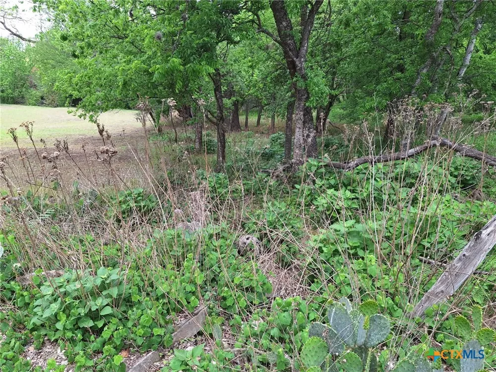 474 Guenther Avenue New Braunfels, TX 78130