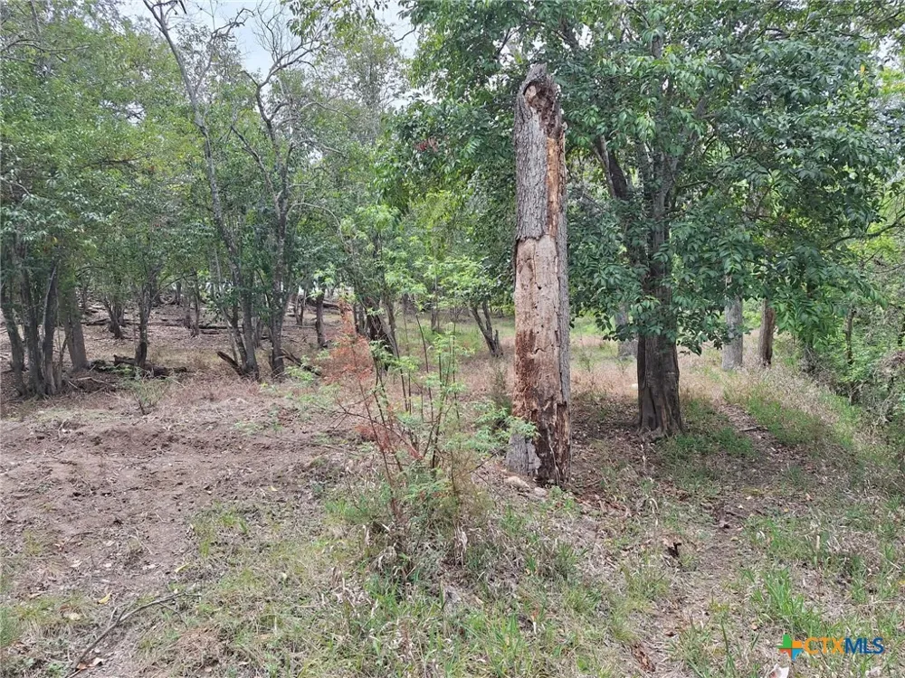 474 Guenther Avenue New Braunfels, TX 78130