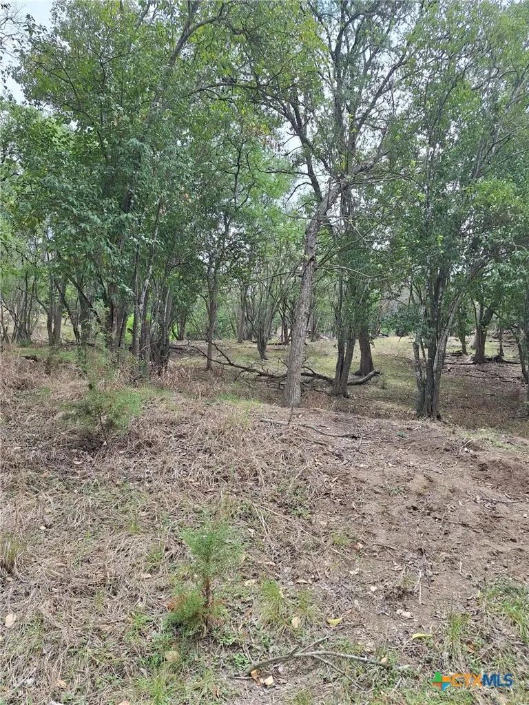 474 Guenther Avenue New Braunfels, TX 78130