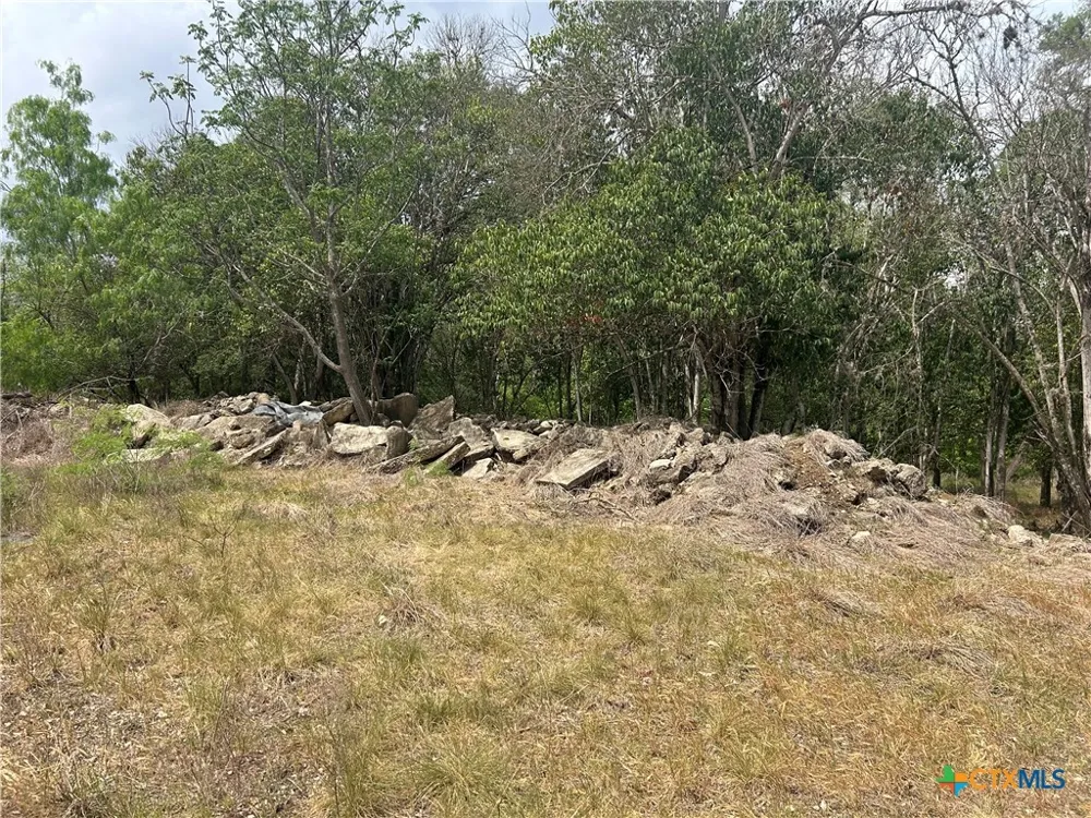 474 Guenther Avenue New Braunfels, TX 78130