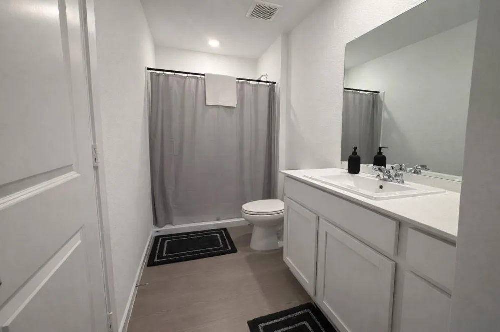 21151 Vercelli New Caney, TX 77357