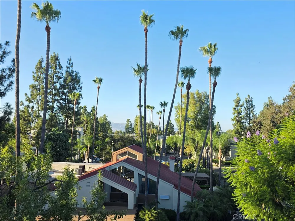 5525 Canoga #320 Woodland Hills, CA 91367