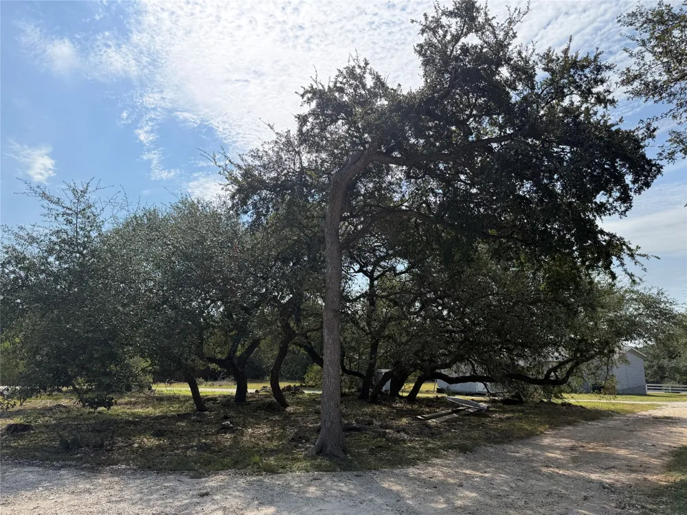 879 Lonesome Trail Driftwood, TX 78619
