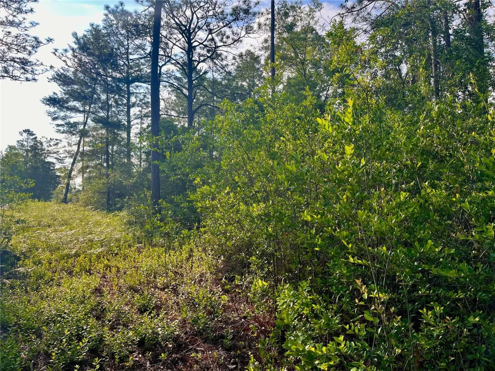 PINETREE LANE Defuniak Springs, FL 32433