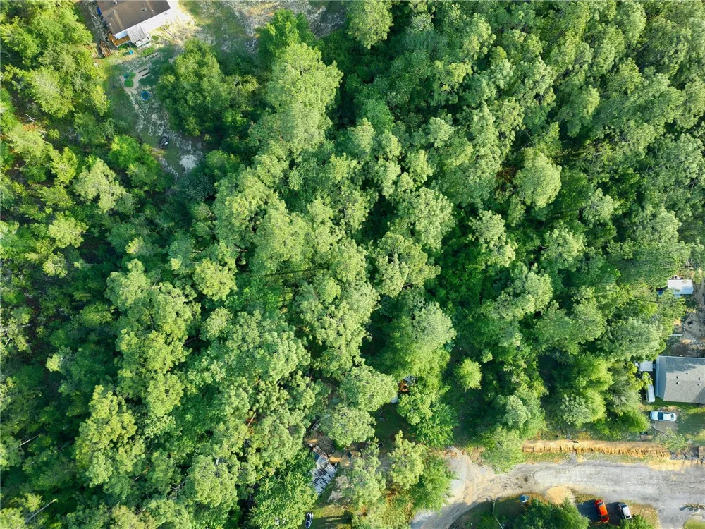 PINETREE LANE Defuniak Springs, FL 32433
