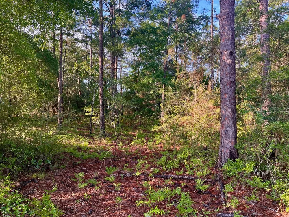 PINETREE LANE Defuniak Springs, FL 32433