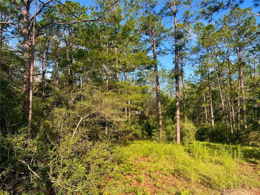 PINETREE LANE Defuniak Springs, FL 32433