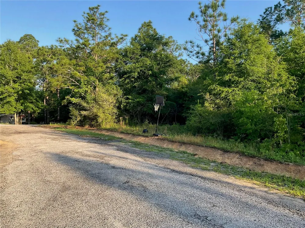 PINETREE LANE Defuniak Springs, FL 32433