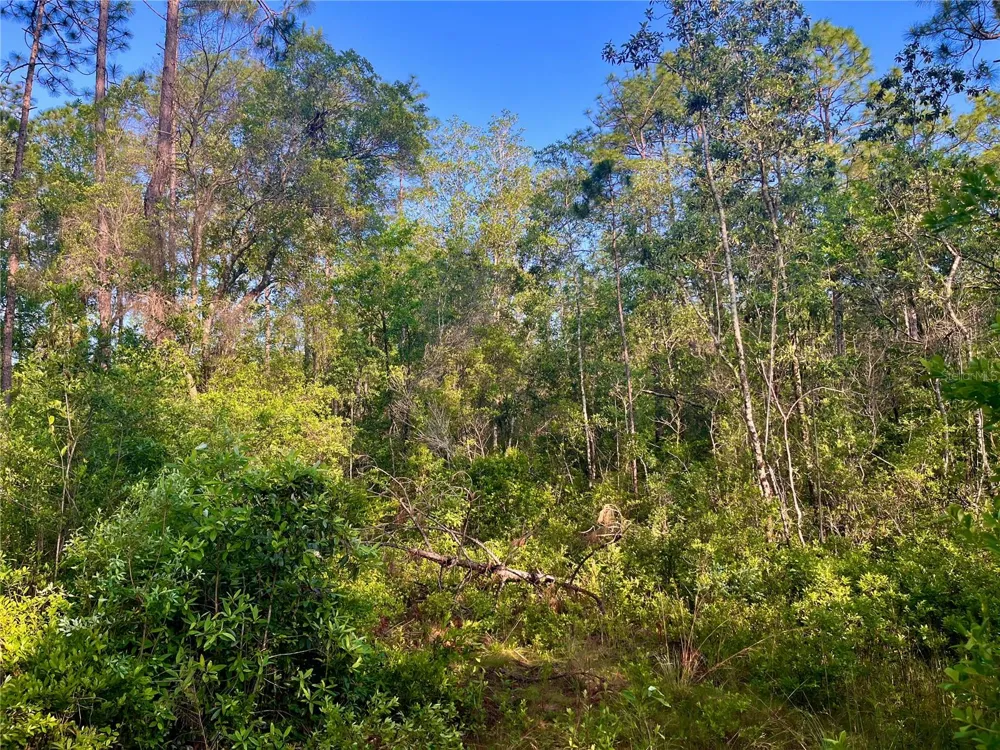PINETREE LANE Defuniak Springs, FL 32433