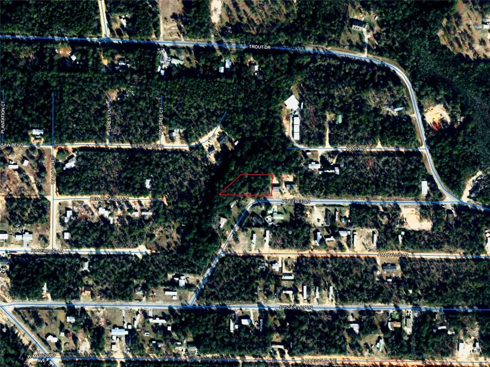 PINETREE LANE Defuniak Springs, FL 32433