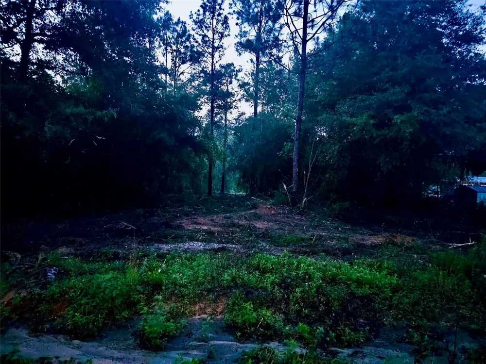 PINETREE LANE Defuniak Springs, FL 32433