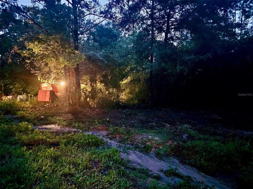 PINETREE LANE Defuniak Springs, FL 32433