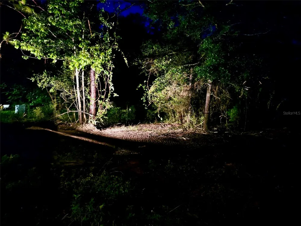 PINETREE LANE Defuniak Springs, FL 32433