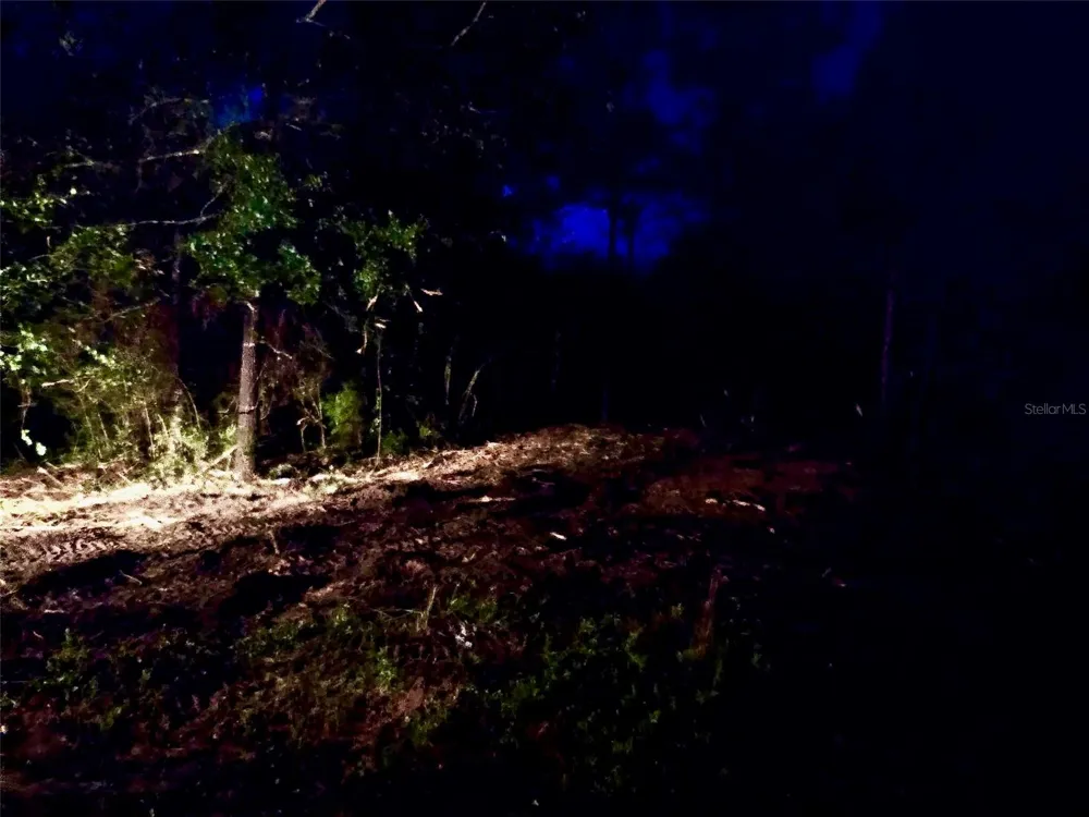 PINETREE LANE Defuniak Springs, FL 32433
