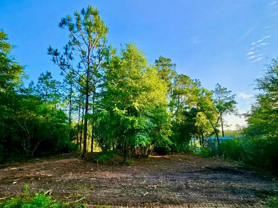 PINETREE LANE Defuniak Springs, FL 32433