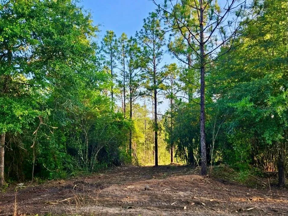 PINETREE LANE Defuniak Springs, FL 32433