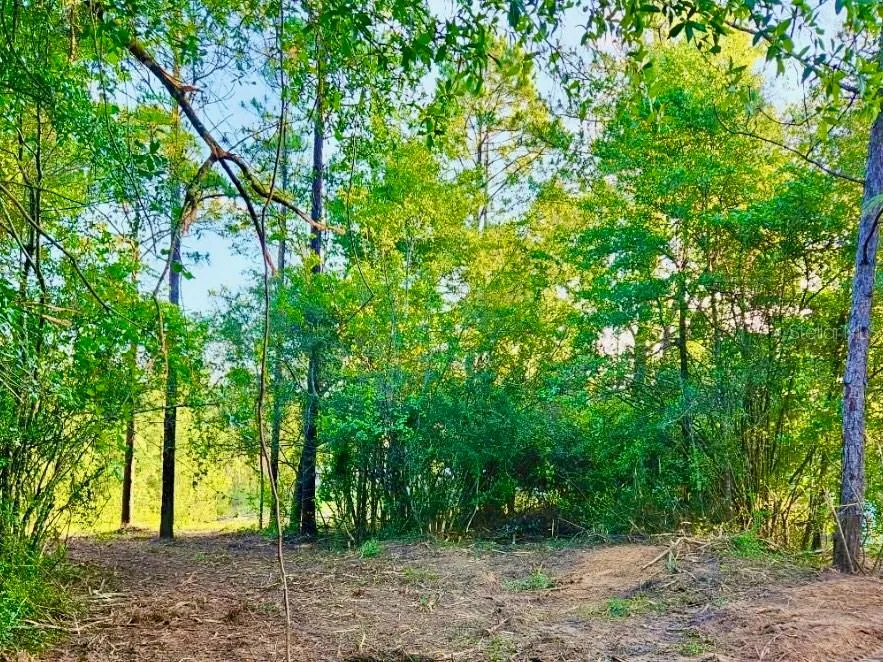 PINETREE LANE Defuniak Springs, FL 32433