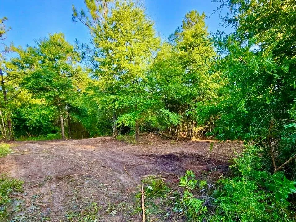PINETREE LANE Defuniak Springs, FL 32433