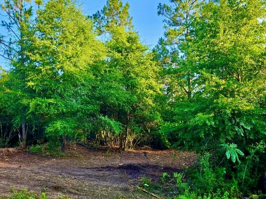 PINETREE LANE Defuniak Springs, FL 32433