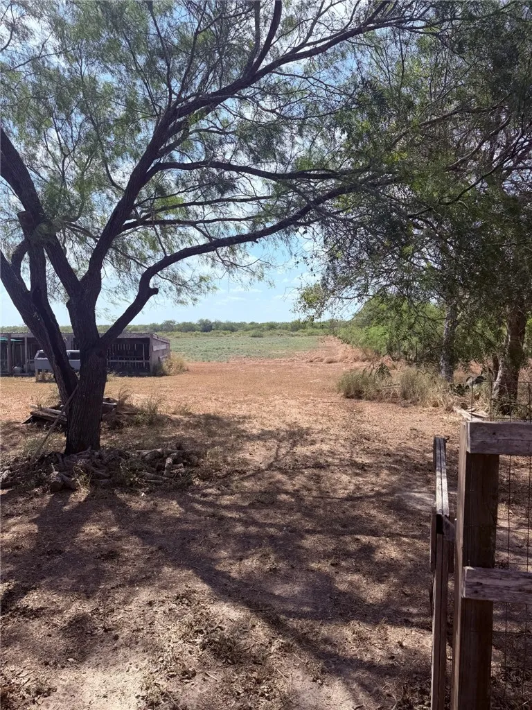 239 County Road 1026 Kingsville, TX 78363