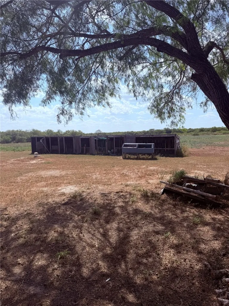 239 County Road 1026 Kingsville, TX 78363
