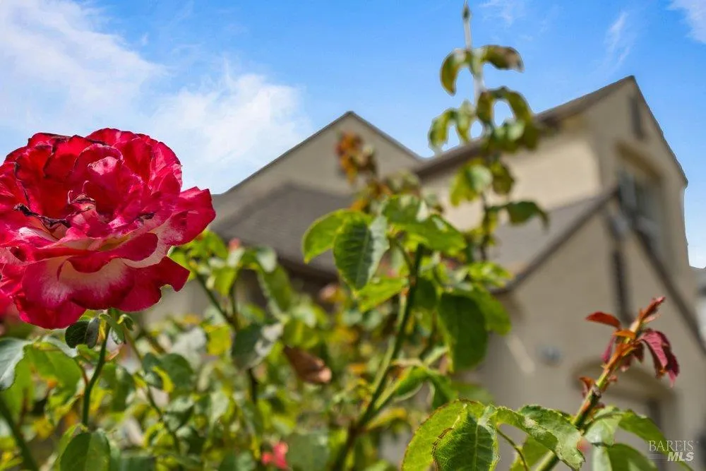 2010 Falcon Ridge Drive Petaluma, CA 94954
