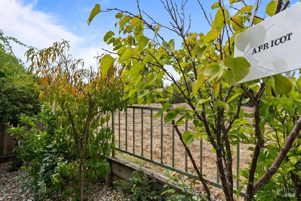 2010 Falcon Ridge Drive Petaluma, CA 94954