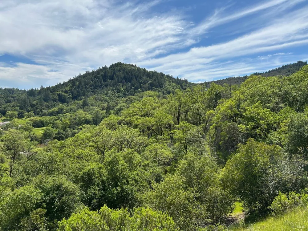695 Cherry Creek Road Cloverdale, CA 95425