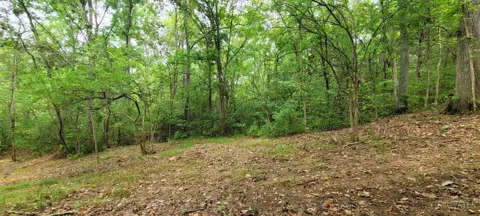 398 Bear Creek Rd
