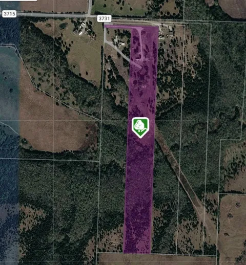 225 County Road 3731