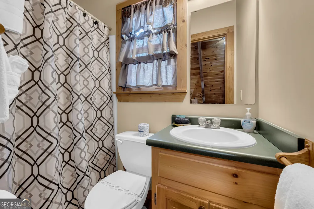 445 Skyview CIR Clarkesville, GA 30523