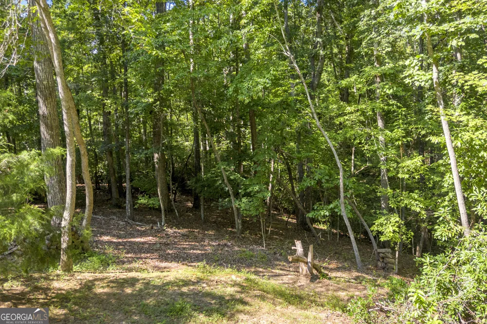 445 Skyview CIR Clarkesville, GA 30523