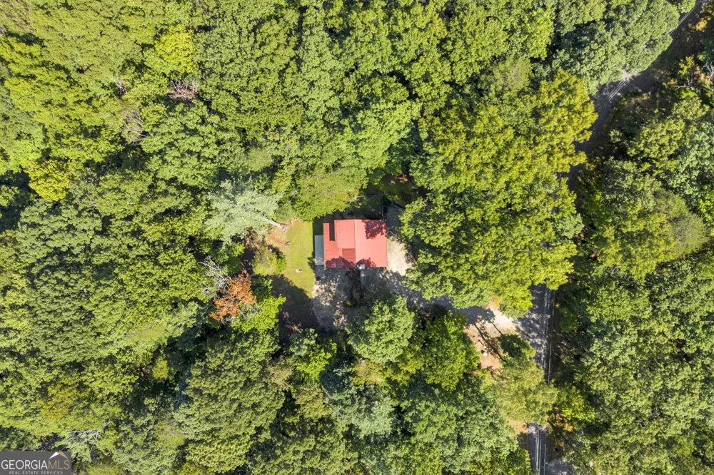 445 Skyview CIR Clarkesville, GA 30523